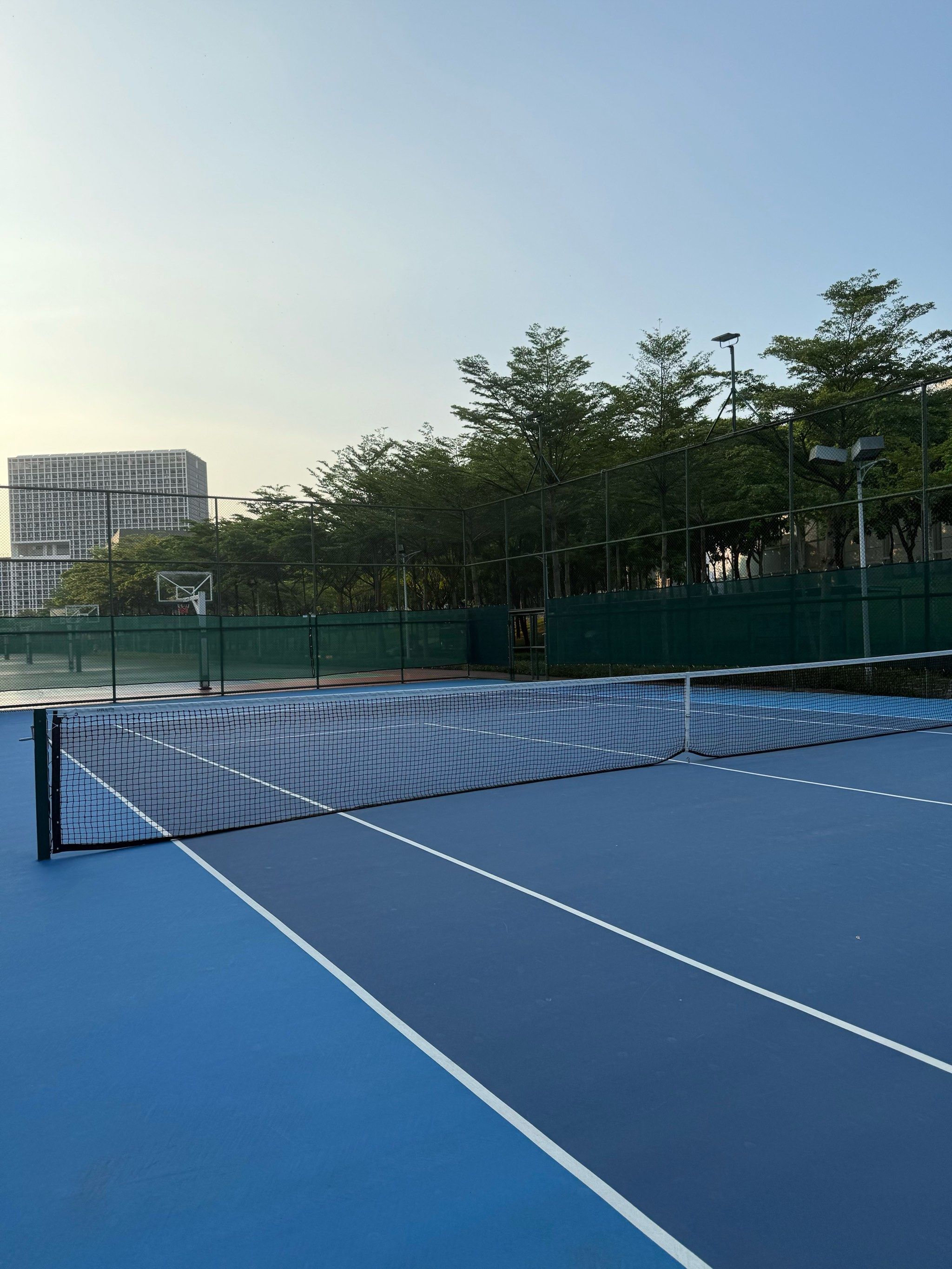 这一规定的 这一规定的