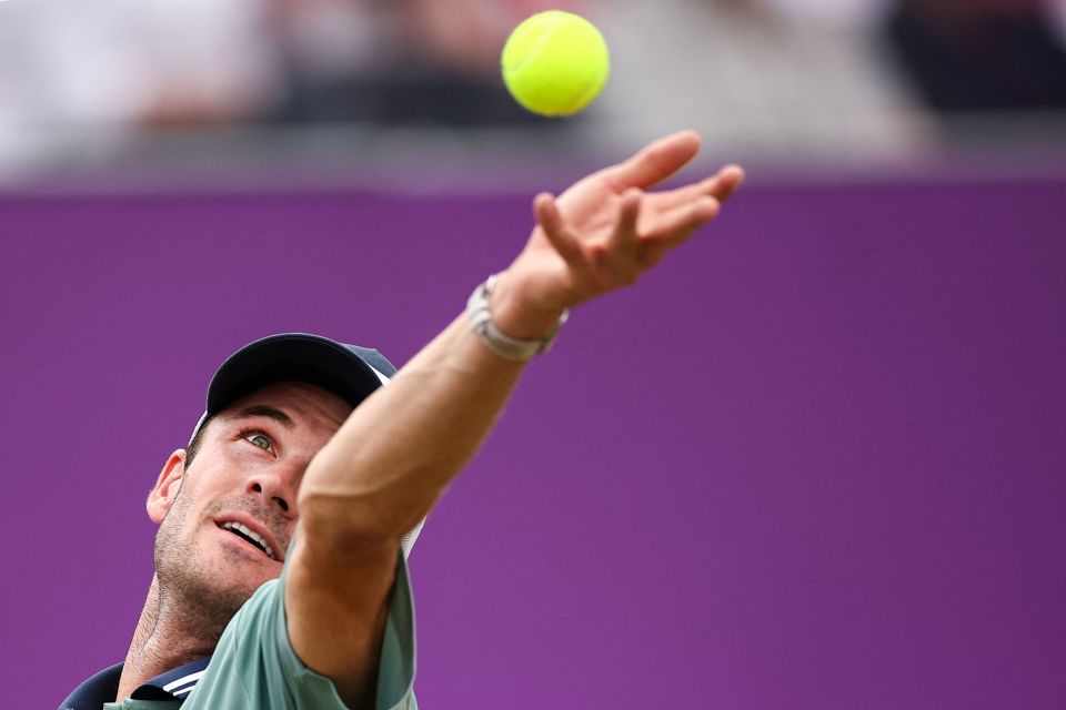 如今小蜘蛛 如今小蜘蛛